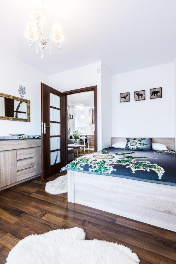 Apartament Tatry Jaszczurowka ザコパネ エクステリア 写真