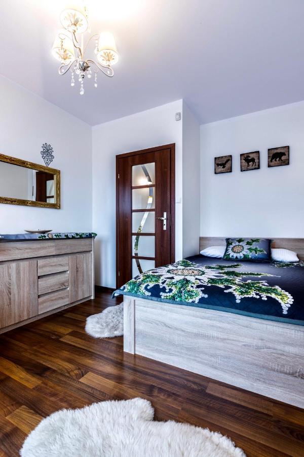 Apartament Tatry Jaszczurowka ザコパネ エクステリア 写真