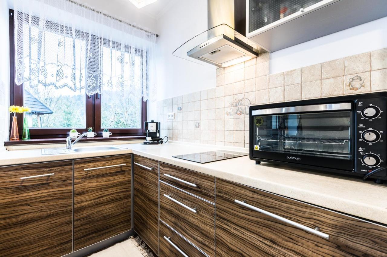 Apartament Tatry Jaszczurowka ザコパネ エクステリア 写真